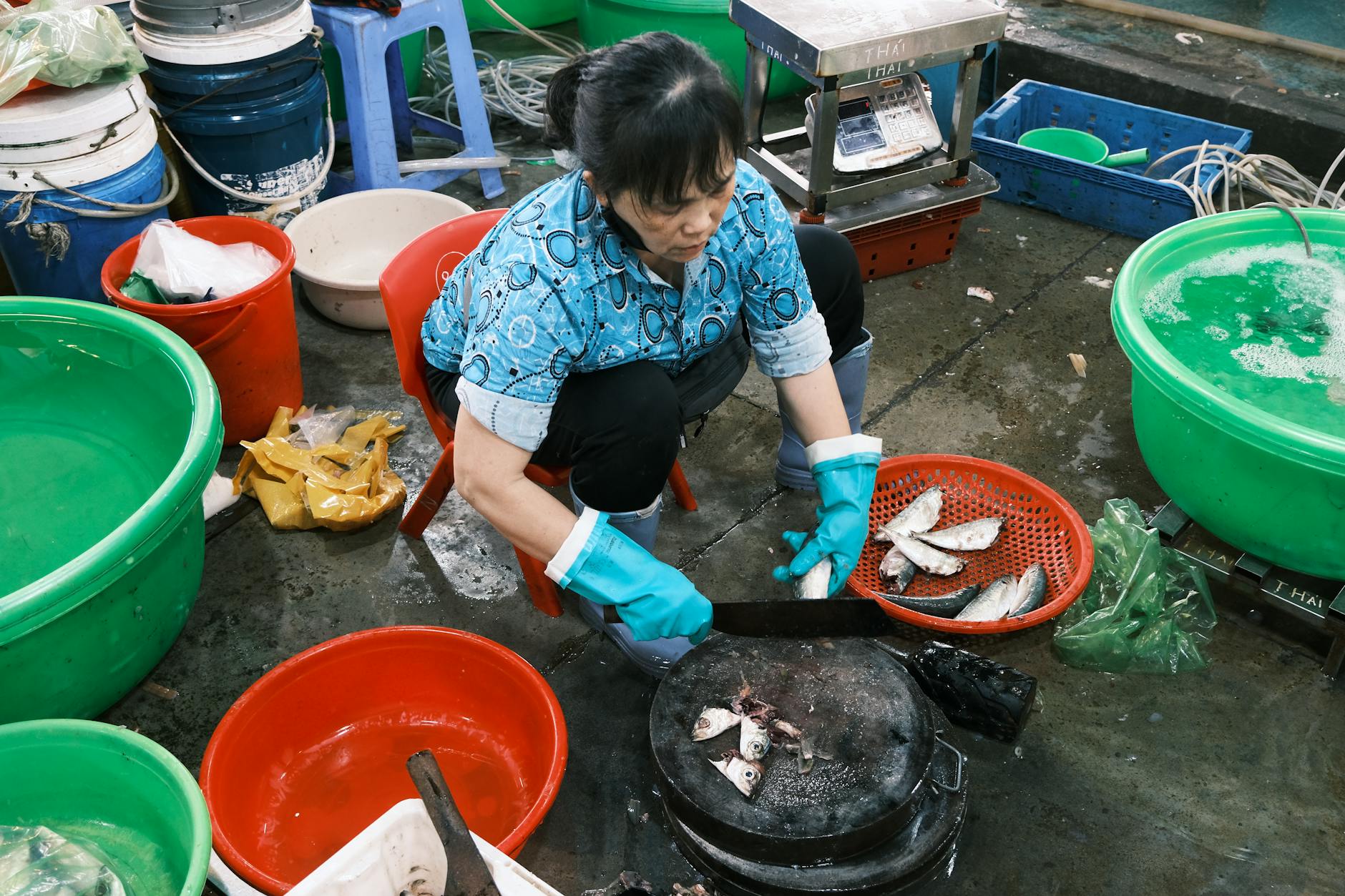 个人读者发现宝藏作品
